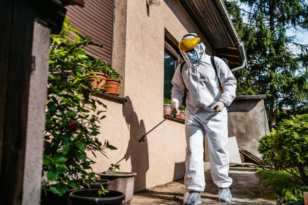 Best Pest Control Near Me  in Moosic, PA