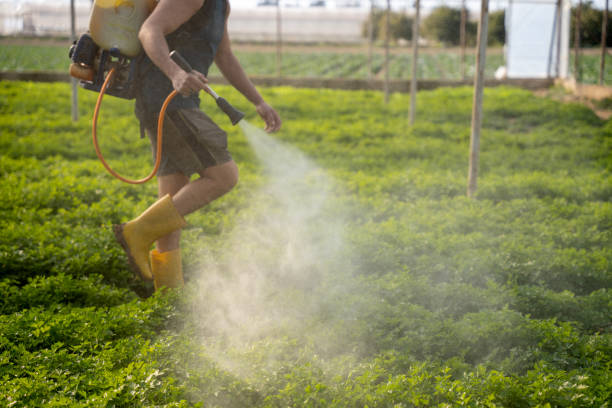 Best Mosquito Control Services  in Moosic, PA